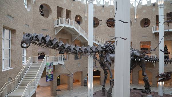 Fernbank unveils new summer event, will include ‘Weird Science’ and ‘Creature Quest’