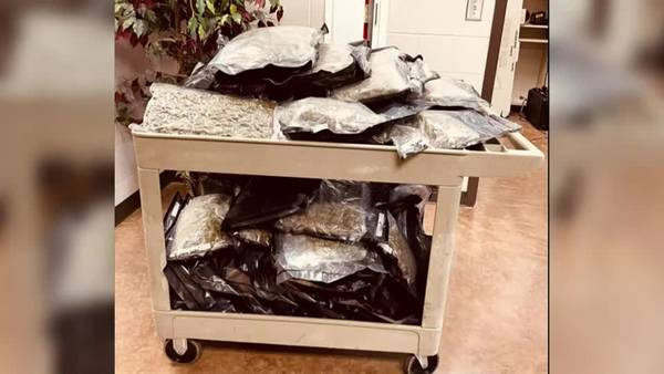 Drugs, cars, gun seized in bust at Carroll County beauty salon, house