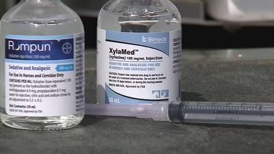 Lawmakers call on DEA to ramp up fight against surge in use of ‘zombie drug’ xylazine