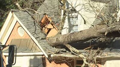 Gusting winds topple trees onto homes, causing headaches for homeowners