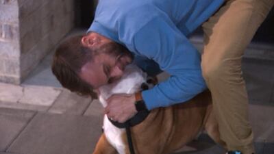 Man reunites with dog after car stolen from CVS store, crashed into pole