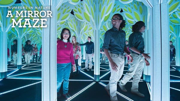 Mirror Maze coming to Fernbank Museum this summer