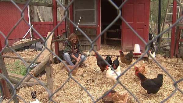 Gwinnett woman fighting to keep backyard ‘emotional support’ chickens