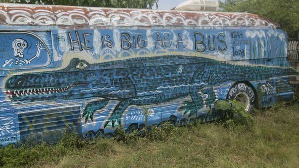 PHOTOS: This is art! See School Bus Graveyard