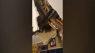 Grandparents thankful family survived close call after tree limb crashed into 12-year-old’s room