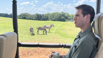 PHOTOS: Wild weekend getaway-Giraffe, rhinos, exotic animals await at Georgia Safari Conservation Park