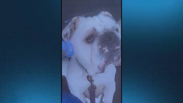 Local woman says her dog was stolen, is being held for nearly $4K ransom