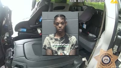 Forsyth Co. woman says she left dogs in hot car because someone was coming from Arizona to get them