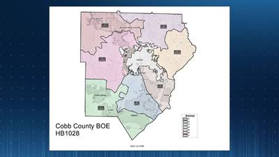 Cobb County board of elections, director sued over alleged racist school district lines