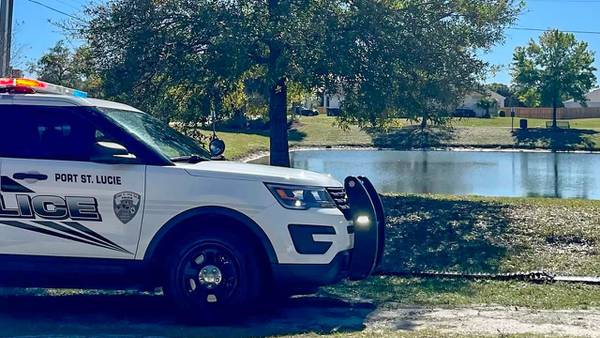 Dog alerts neighbors after man in wheelchair falls into Florida pond