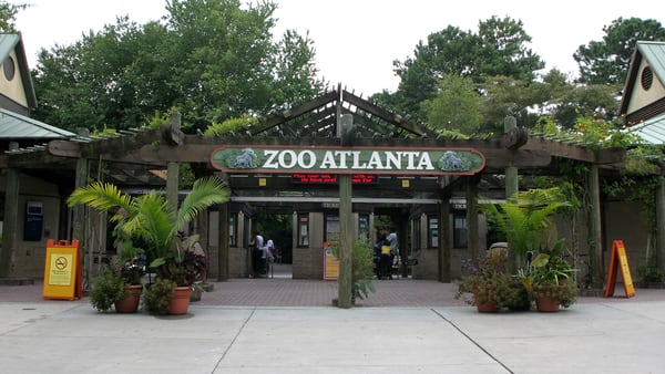 Zoo Atlanta to reopen at noon Sunday after dangerous cold