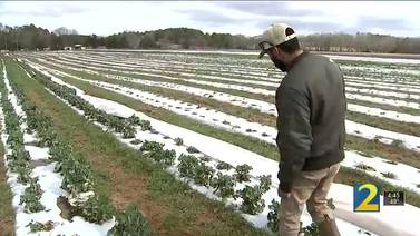 Effort to help metro area farmers hit hard by the December freeze