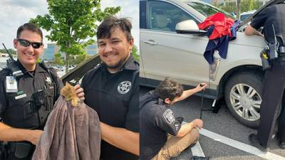 Cherokee deputy, animal control officer work to save cat stuck in engine