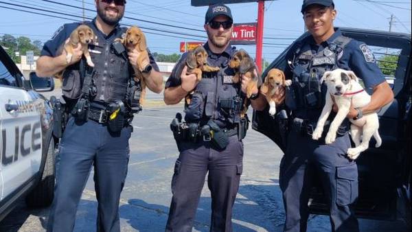Marietta police’s ‘PAW’ Patrol rescues puppies who made a ‘prison break’