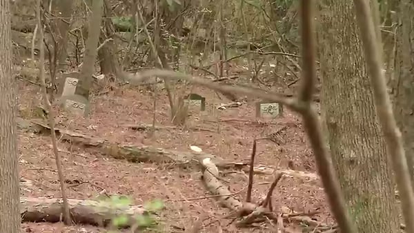 ‘It’s just a shame:’ Abandoned cemetery in southeast Atlanta draws complaints from residents
