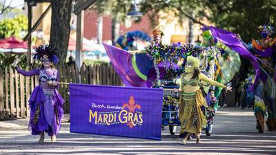 Celebrate Mardi Gras at Busch Gardens in Tampa