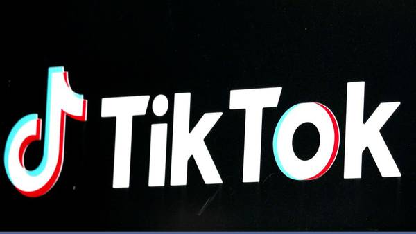 Georgia state senator wants TikTok ban from all state-owned devices including for teachers 