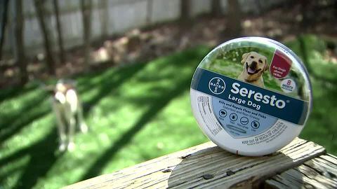 Seresto flea collar small dog walmart 2025