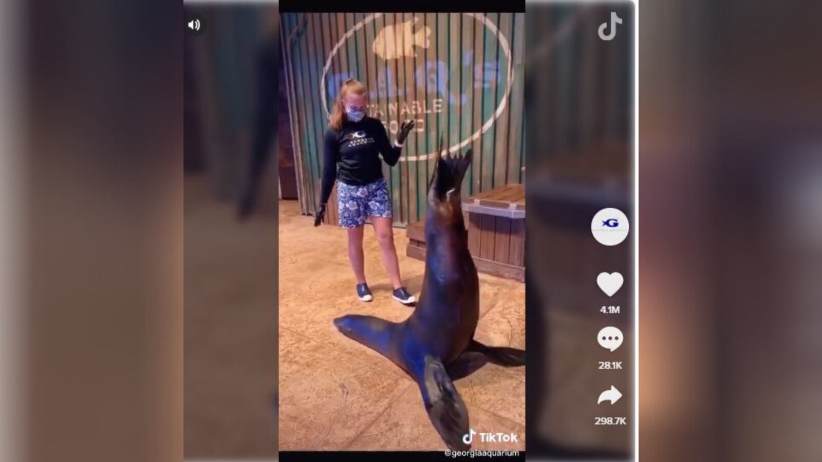 Georgia Aquarium sea lion slays in hilarious Tik Tok challenge – WSB-TV