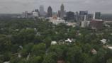 Atlanta’s tree guardians: volunteers boost urban greenery’s health this weekend