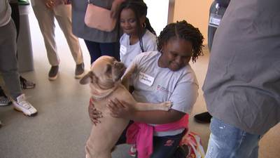 UGA camp aims to inspire aspiring veterinarians