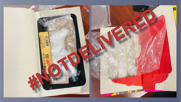 Hollowed-out book filled with meth stopped from being smuggled into Ga. prison