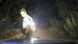‘I had to shoot this man:’ Dash camera video sheds new light on deadly shooting by Georgia trooper