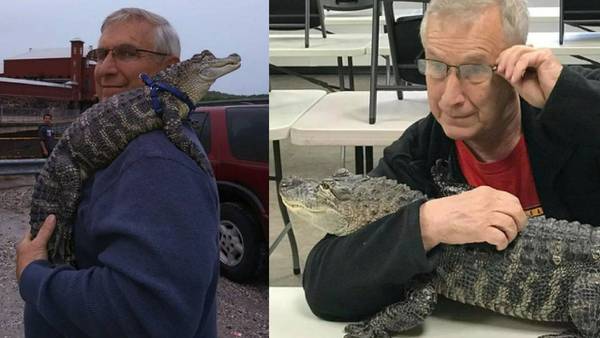Owner of Wally the emotional support alligator pleads to ‘bring my baby back’ in tearful TikTok