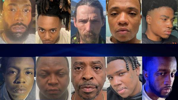 10 arrested in West Georgia crime sweep, deputies seize drugs and guns