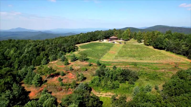 Plan your perfect spring getaway: Wine tasting in North Georgia mountains