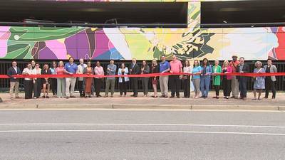 City leaders unveil monumental mural at Dunwoody MARTA station