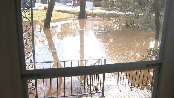 People across metro Atlanta braced for severe weather, now looking at damage left behind