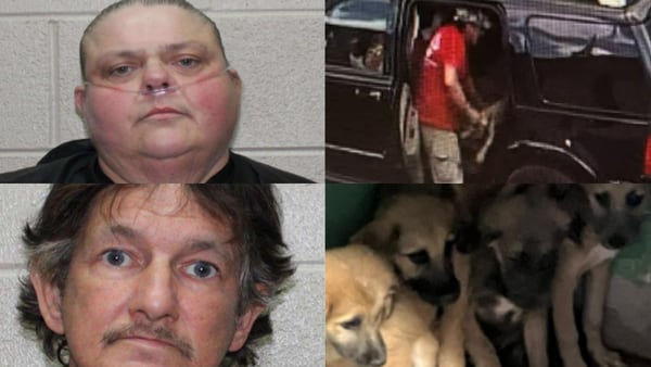 2 arrested for tossing puppies out of a car, abandoning them at Georgia church