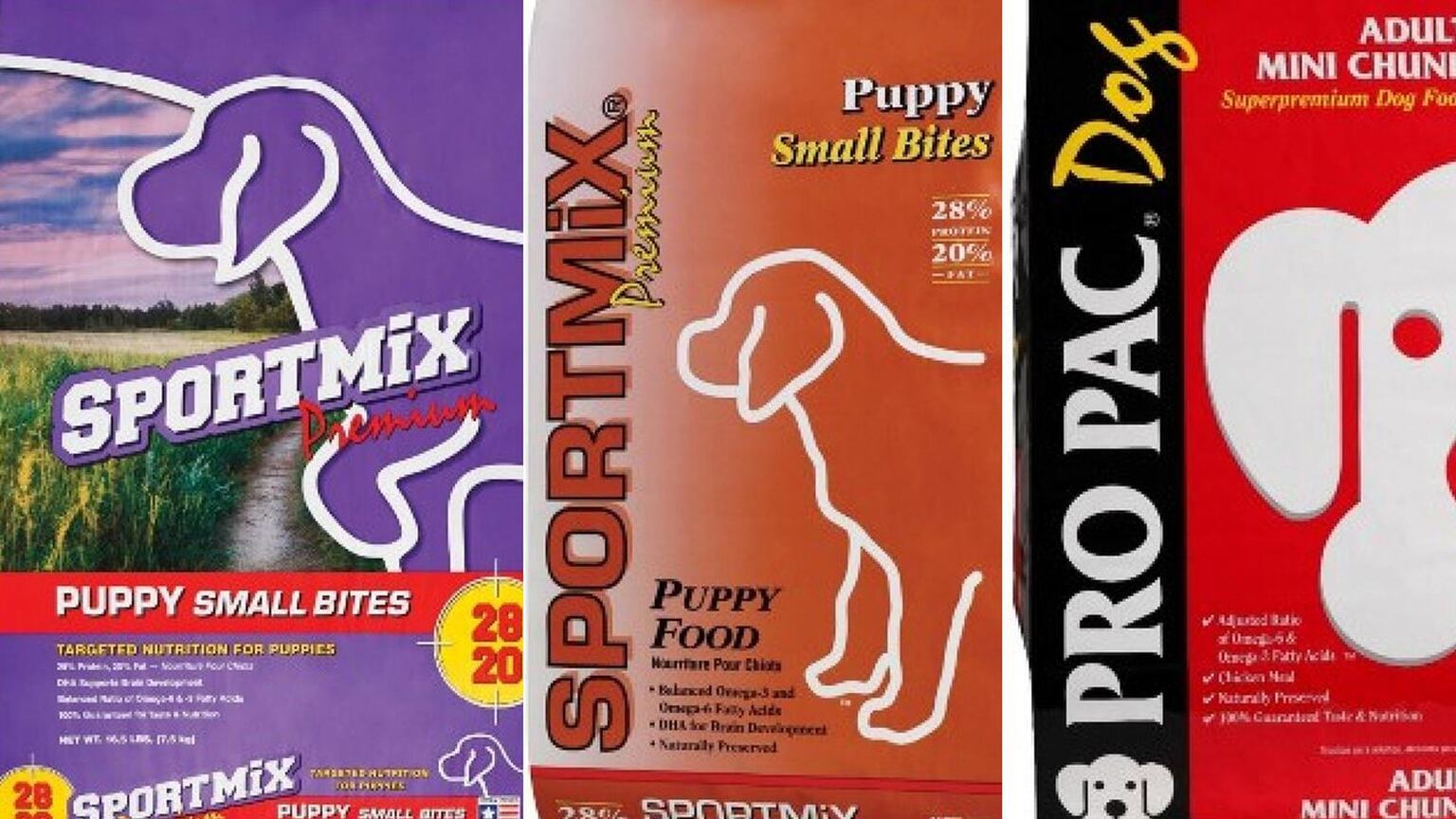 Sport sale mix puppy