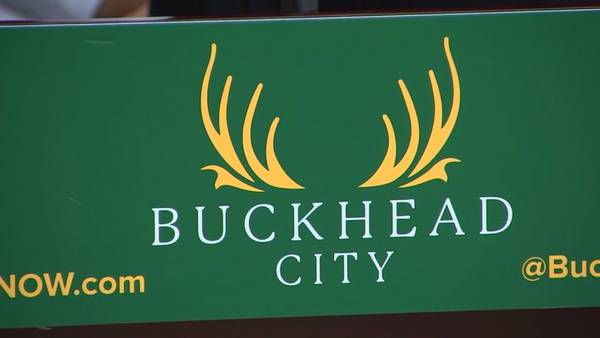 Leaders of Buckhead City Group claim voter suppression over cityhood vote