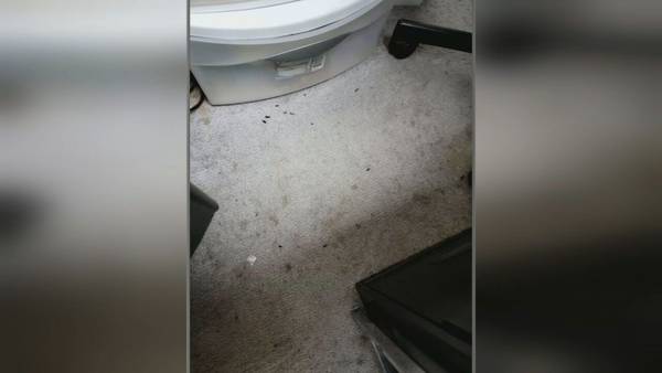 OSHA investigating Atlanta clinic after terminated employee complains about rat droppings, urine