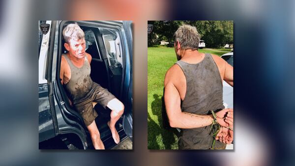 Ga. man armed with machete arrested after jumping into swamp with 11-foot alligator 