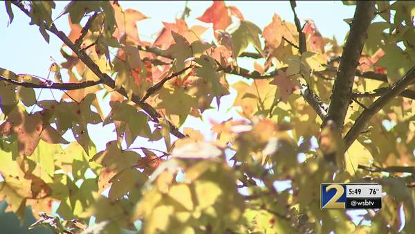 Record heat and little rain could impact fall colors across north Georgia
