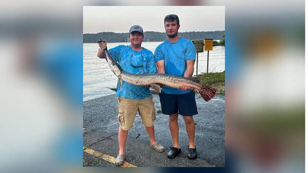 Record-breaking fish caught in Lake Allatoona, DNR officials say