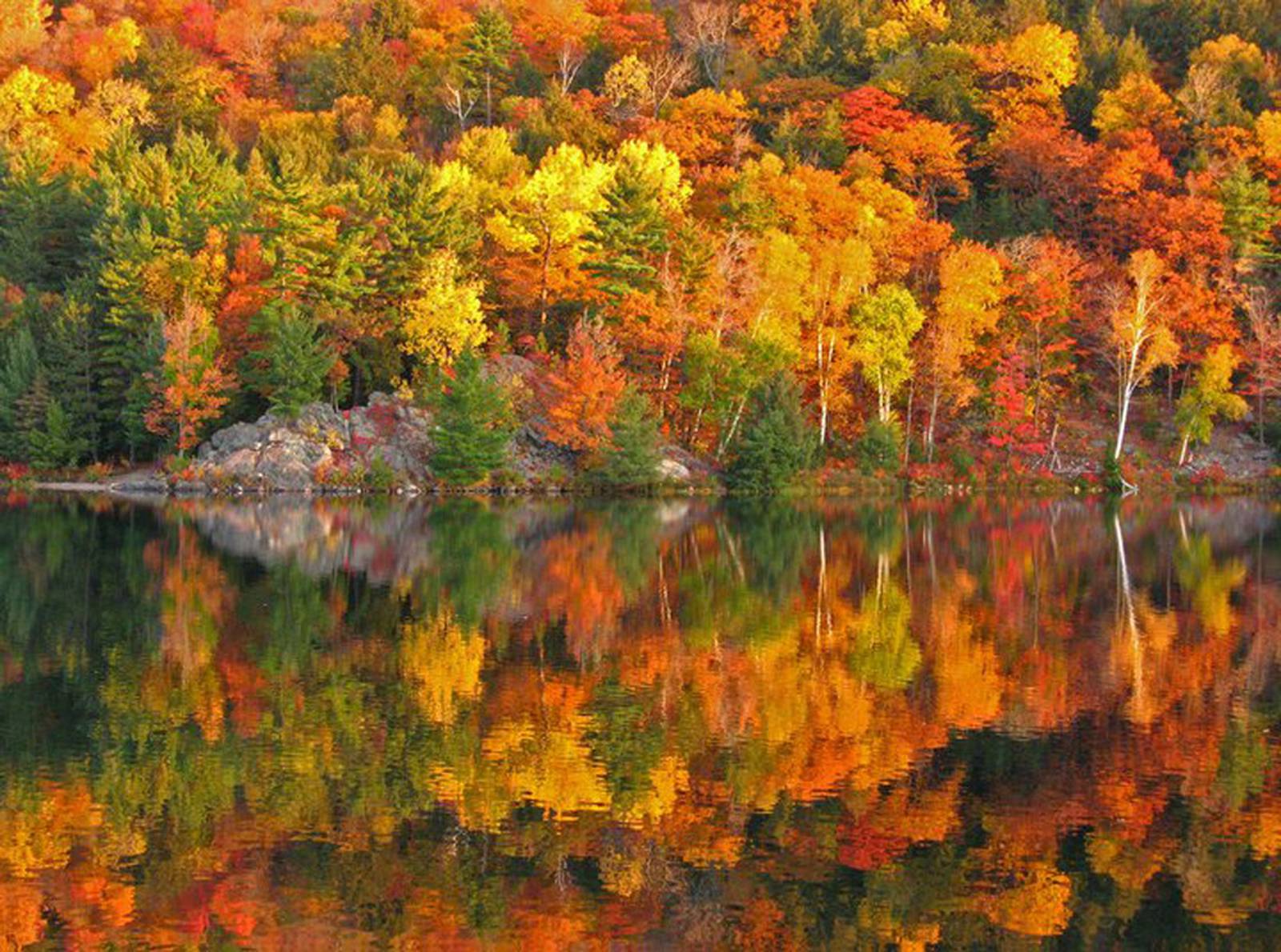 PHOTOS Autumn magic unveiled North spectacular fall colors
