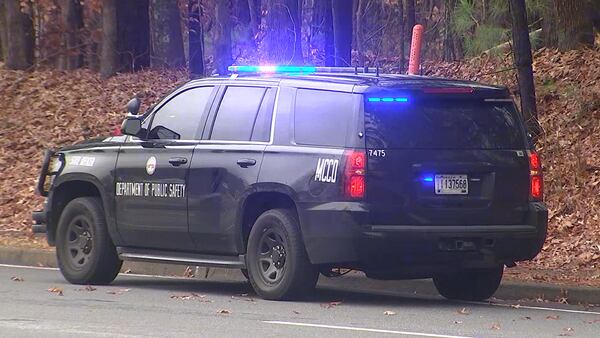 Suspected carjackers arrested after running off into Gwinnett woods for hours