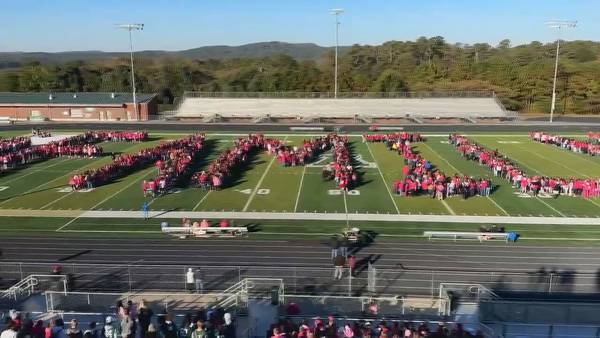 Over 3,000 students, staff from Bartow County Schools join the fight against breast cancer