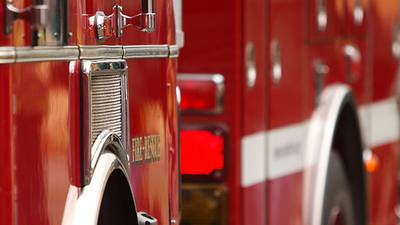 2 pets found dead in Hall County house fire, officials say