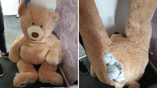 ‘Breathing’ giant teddy bear leads police to suspected car thief’s hiding spot