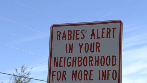 Stray cat test positive for rabies in DeKalb County
