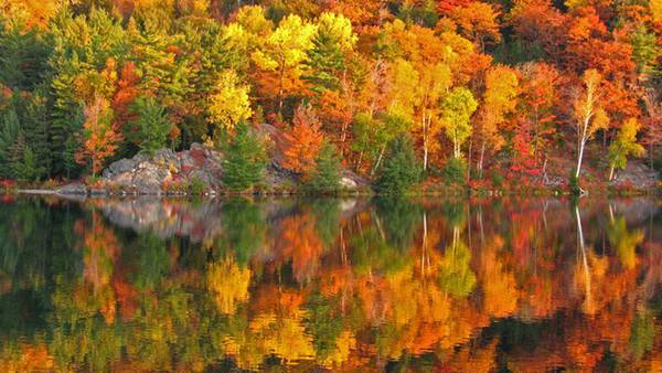 PHOTOS: Autumn magic unveiled: North Georgia's spectacular fall colors