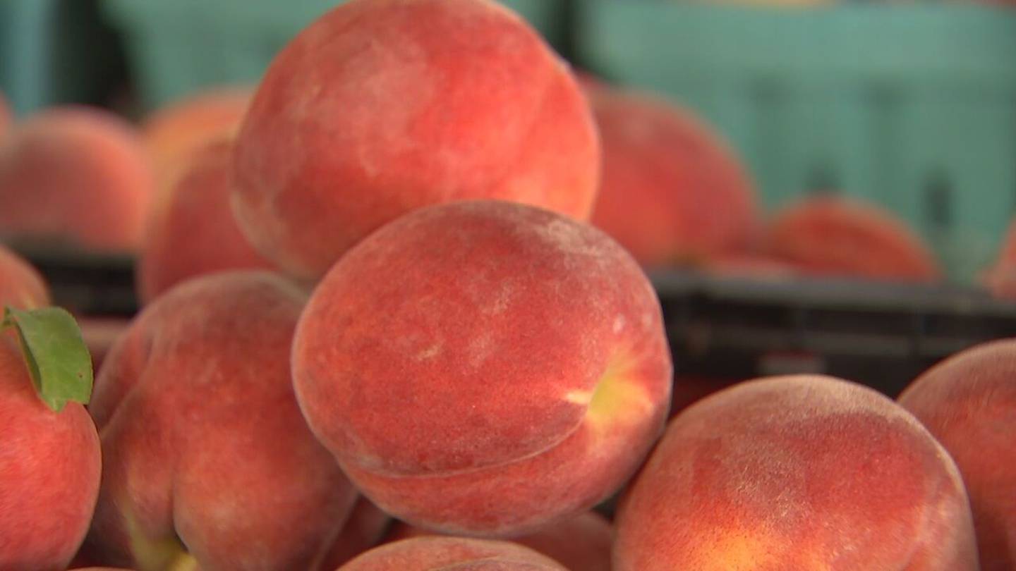 There Are No Georgia Peaches This Year