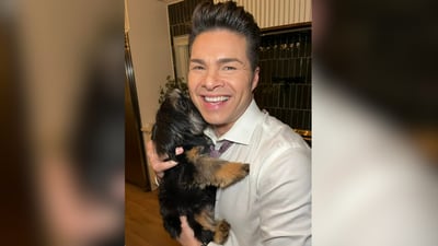 PHOTOS: Meet the dogs of Channel 2 Action News!