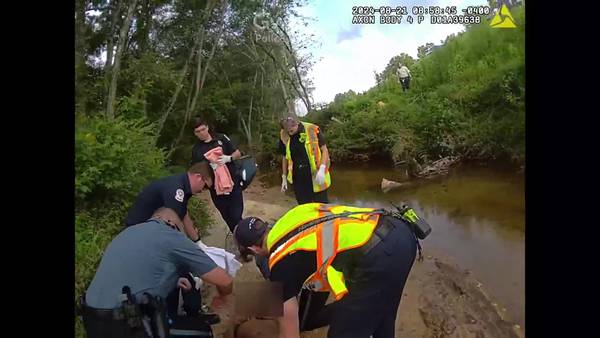 Video: Missing elderly man saved by officers after falling into Gwinnett creek