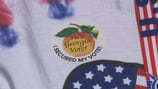 2024 Georgia primary election runoff results